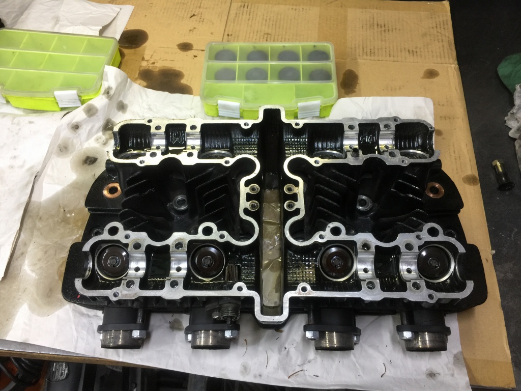 キューバ産コンガ用フラットヘッド キューバ産コンガ用フラットヘッド